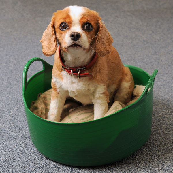 Mini Shallow Gorilla Tub® 5L