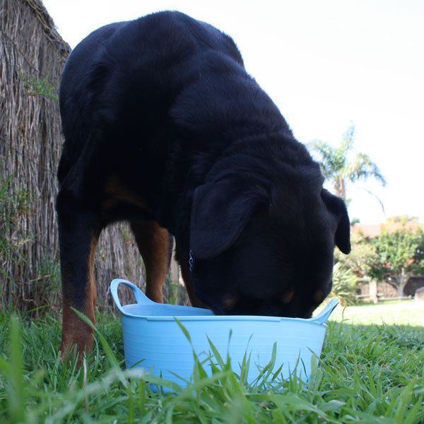 Mini Shallow Gorilla Tub® 5L