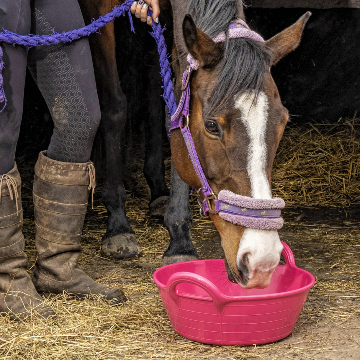 Gorilla Plas® - Equine